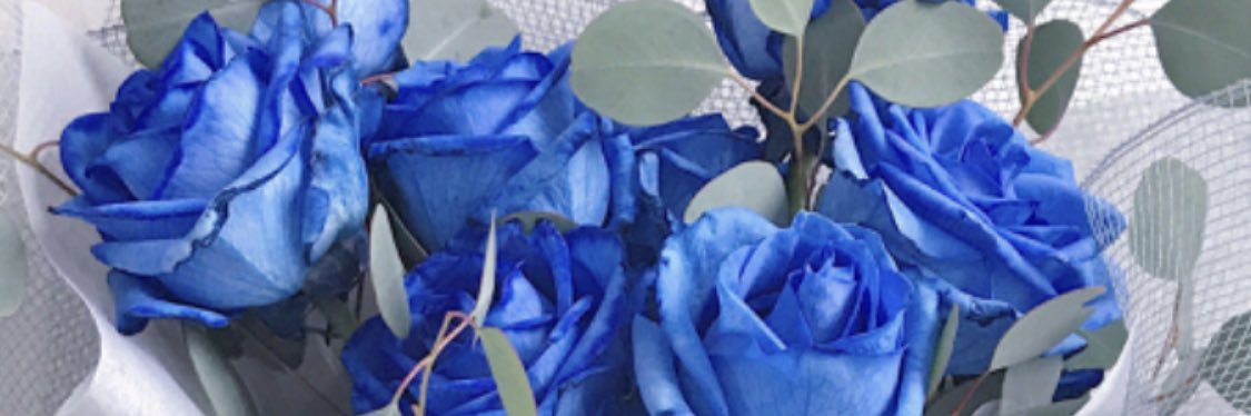 kaiqinggg's profile banner image