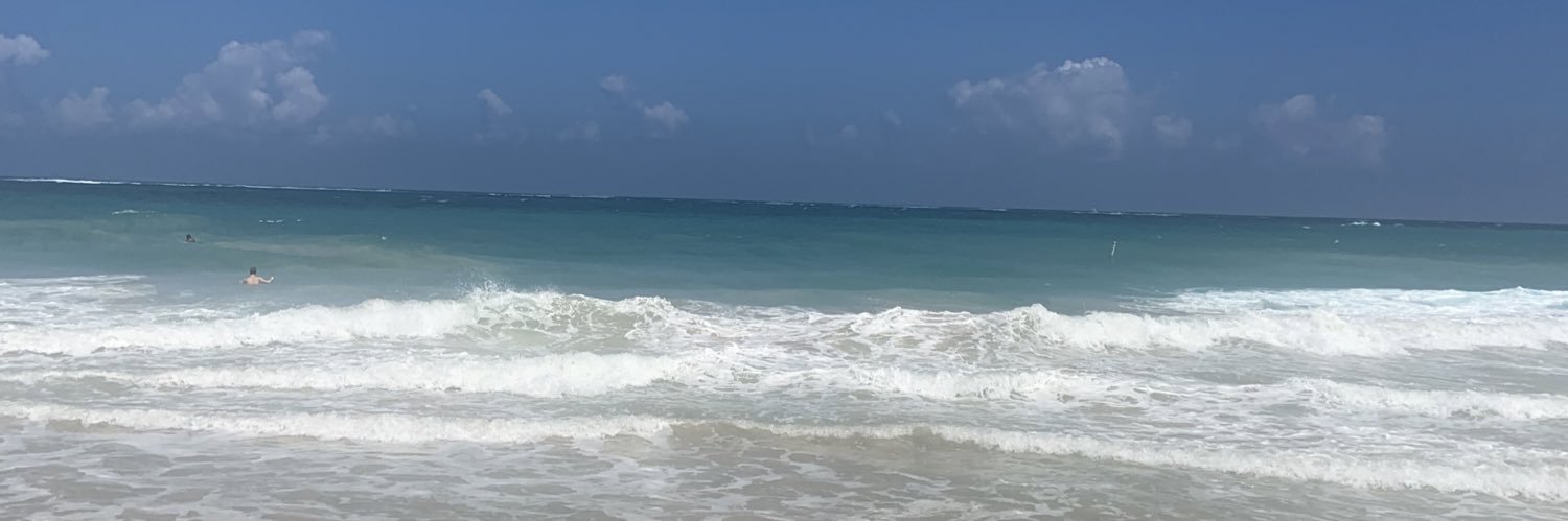 bridgetf_'s profile banner image