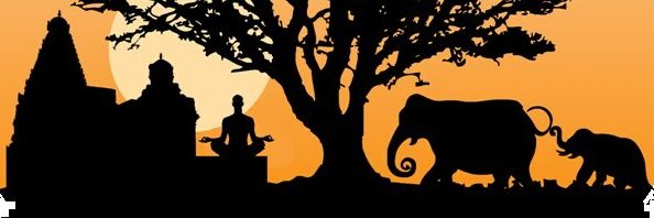 isonali_IND's profile banner image