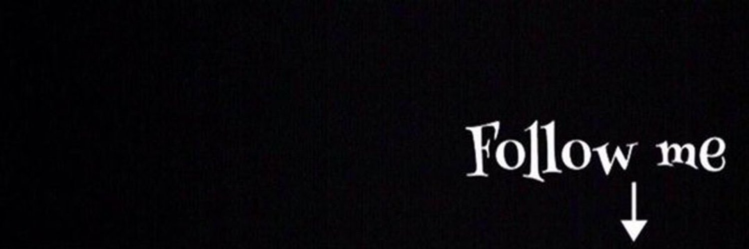 TheBear 🧸 banner