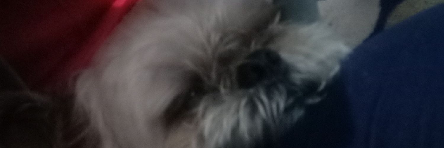 widhiRP's profile banner image