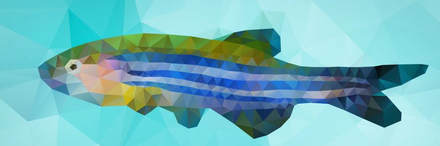 PaigeOstwald's profile banner image