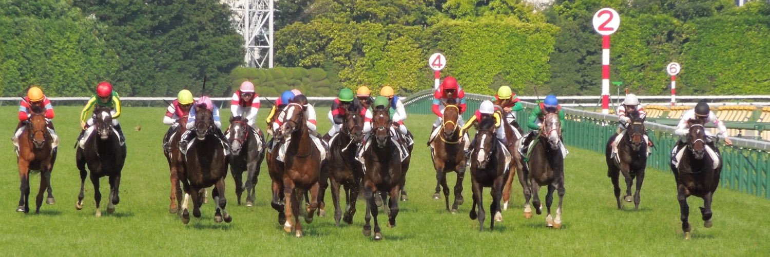 umeitter's profile banner image