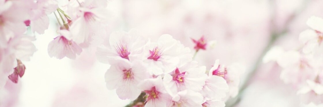 _emaema_'s profile banner image