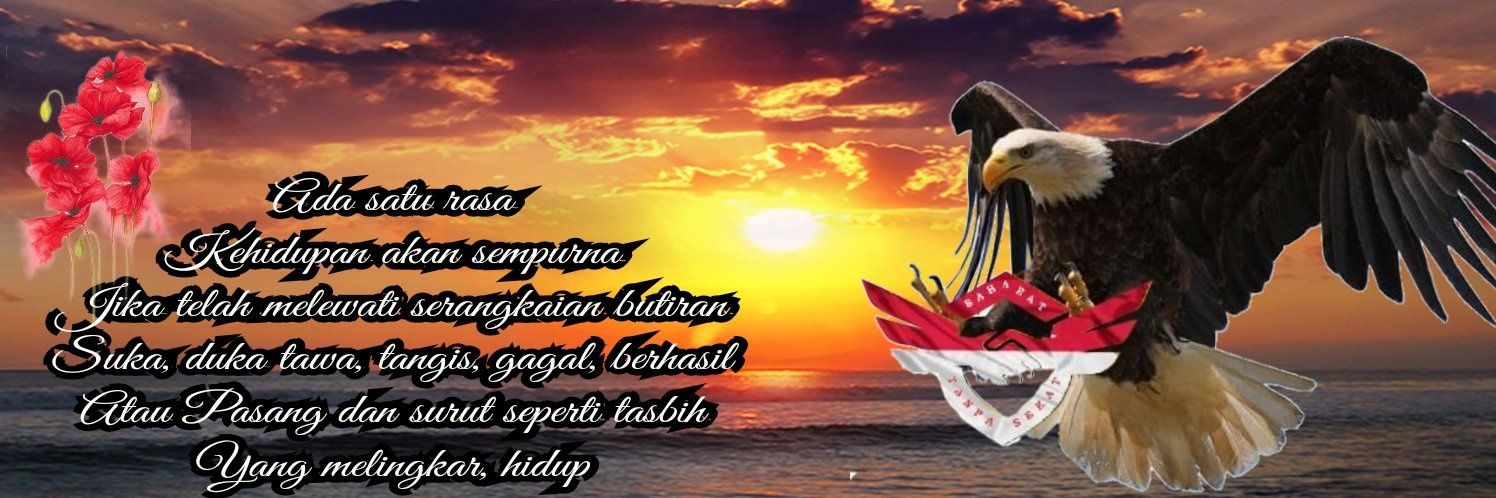 SutraPuan 🌻 banner
