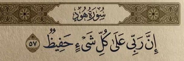 رضا's banner