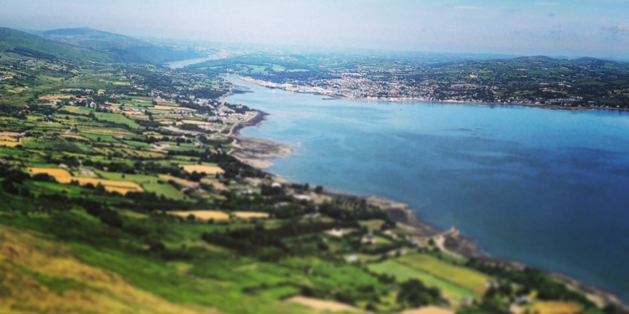 Padhraic McArdle banner