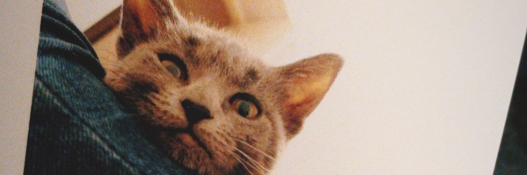 MicaelaSb3's profile banner image