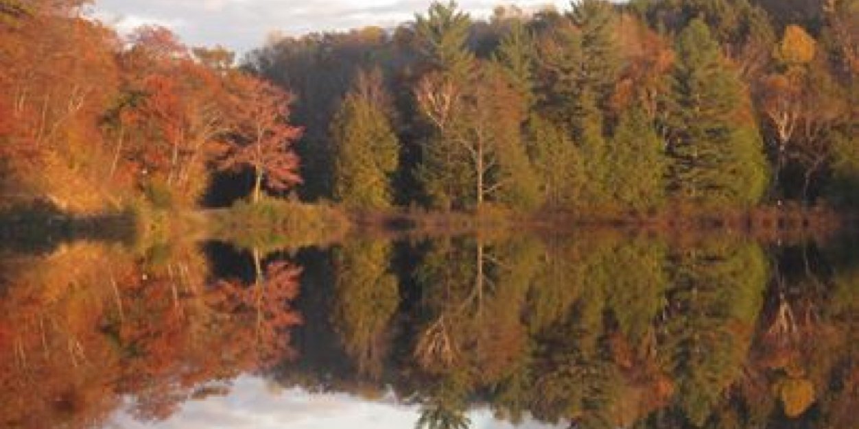 JuliaWild3's profile banner image