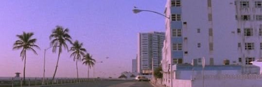 sff banner