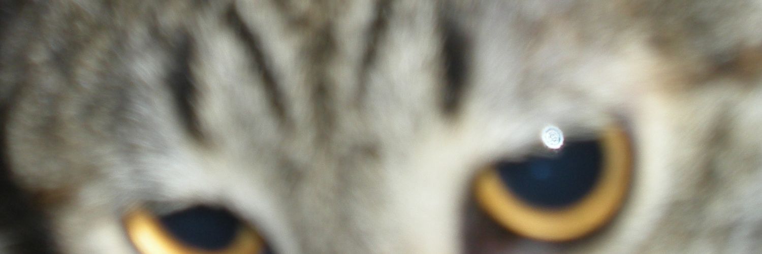 night banner