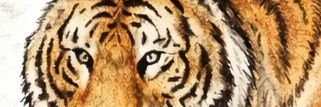 Shantam || शान्तम् || banner