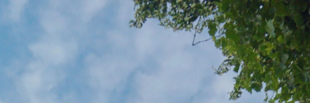 germancasaress's profile banner image