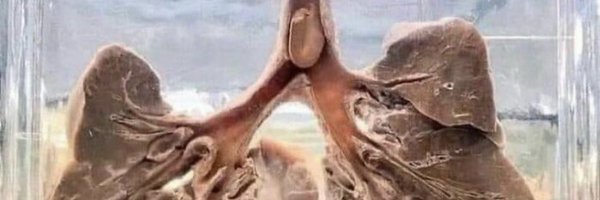 oncopharmacist Profile Banner