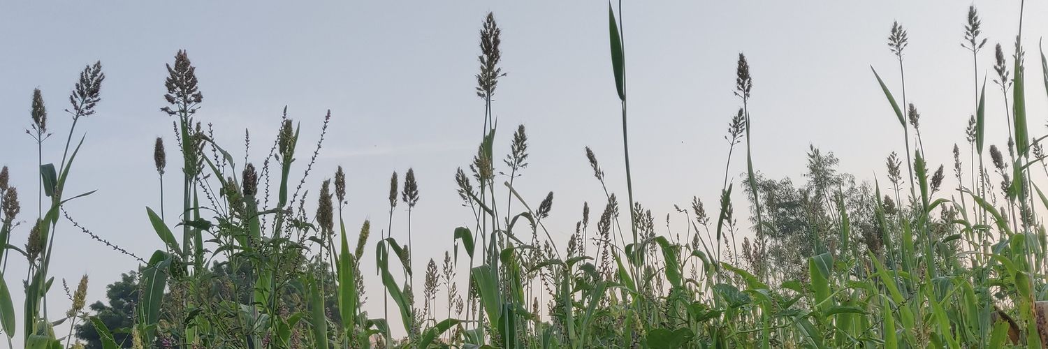 dimplemehta15's profile banner image