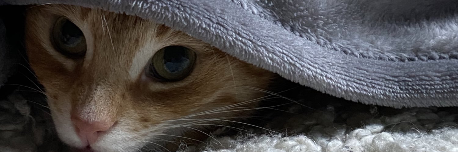 tiffouxne's profile banner image