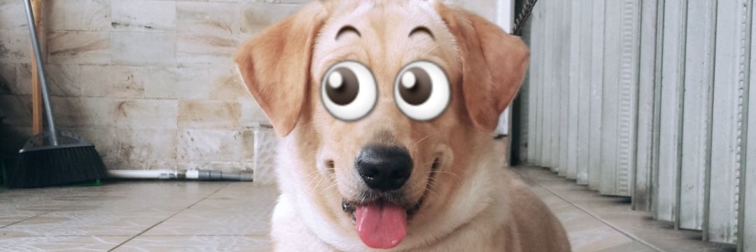JackiHoam's profile banner image