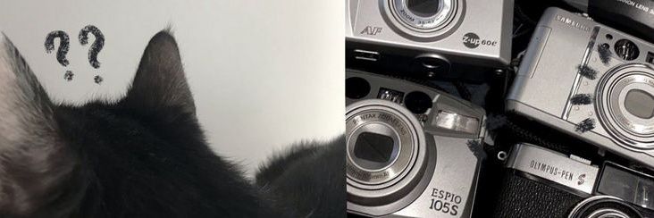 Noel banner