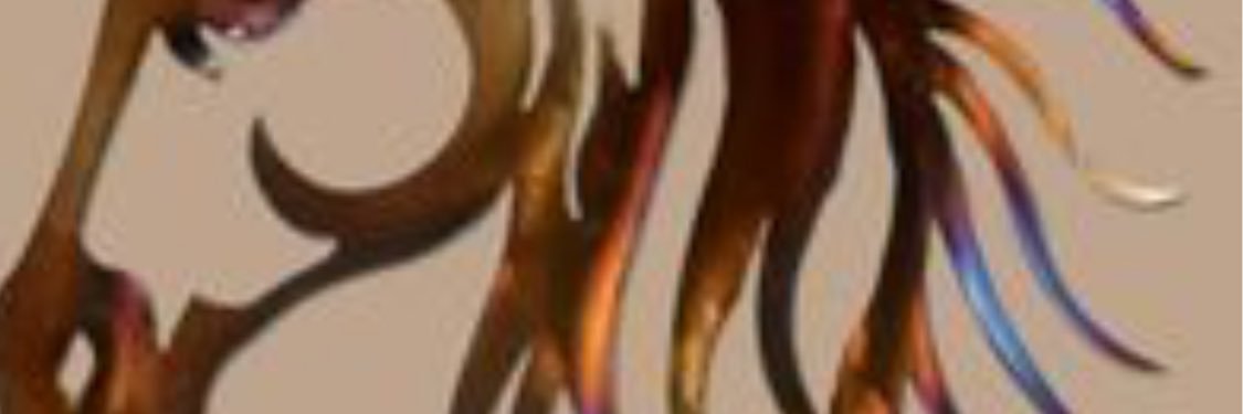 فلوه banner