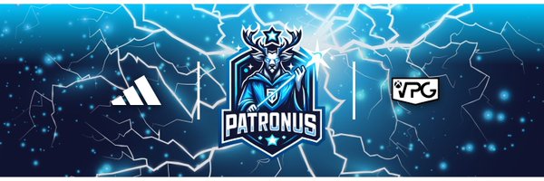 VPGPatronus Profile Banner
