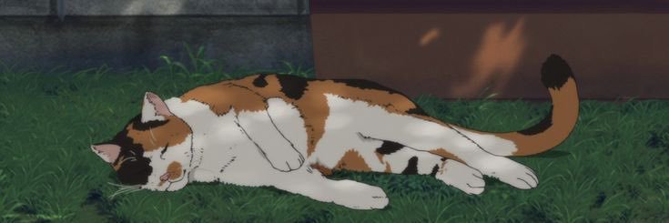 yummyrainyy's profile banner image