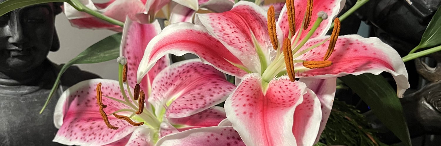 𝐵𝒾𝐵𝒾♥ banner