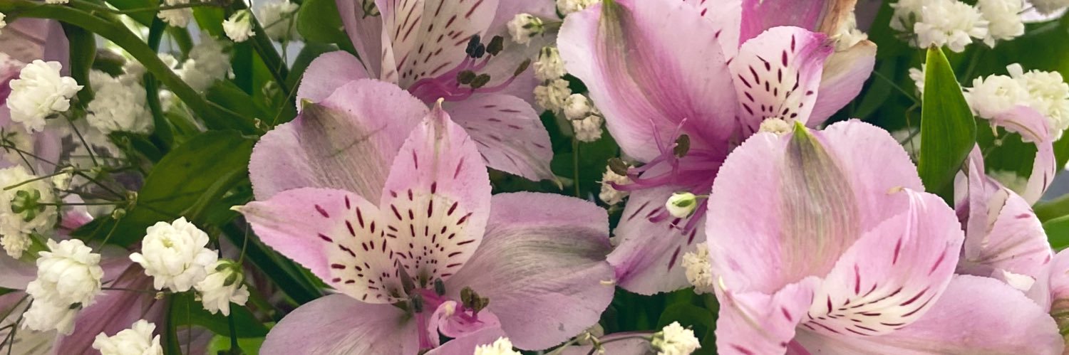 wildflowerkiki's profile banner image