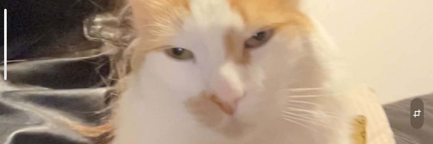 z_depilla's profile banner image
