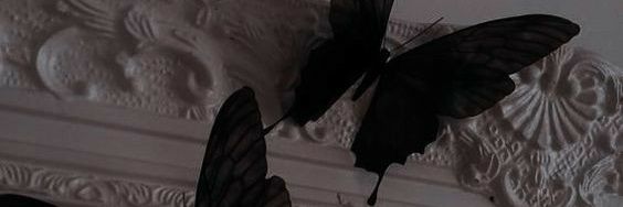Felix Luciana banner