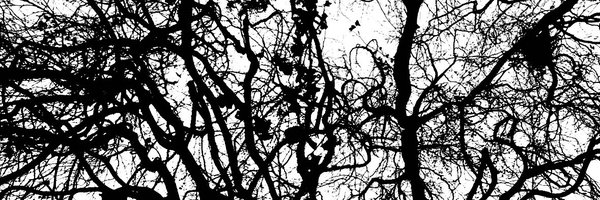 LauraJWriting Profile Banner