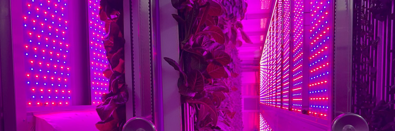 Indoor Grown banner