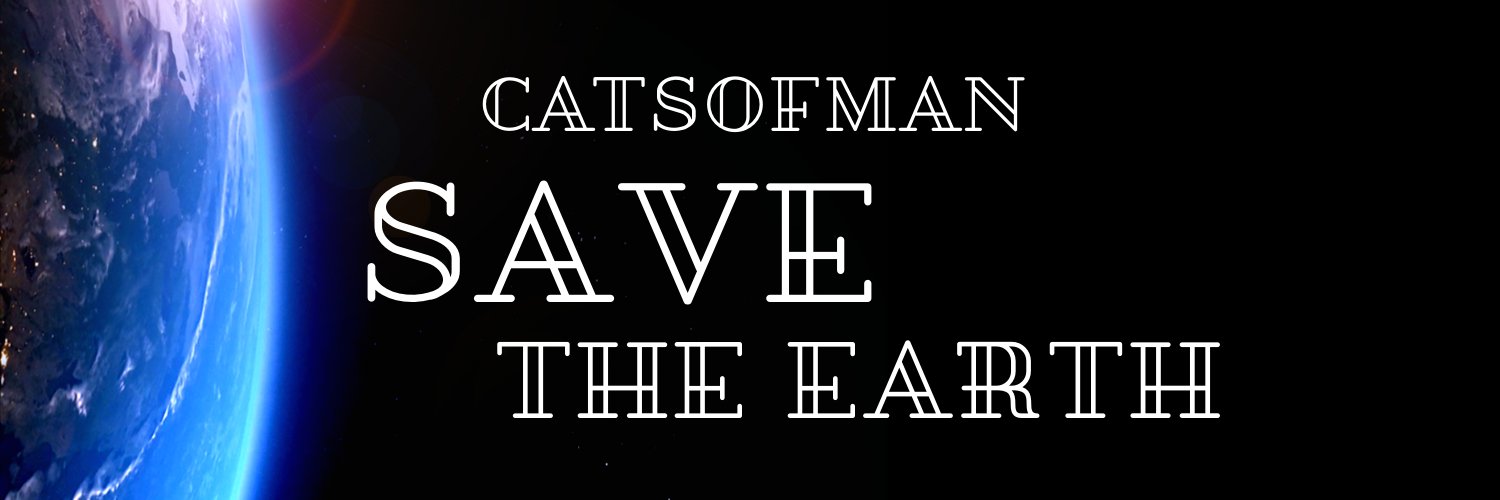 Catsofman banner