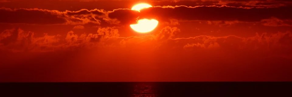 JadeMirrozzi's profile banner image