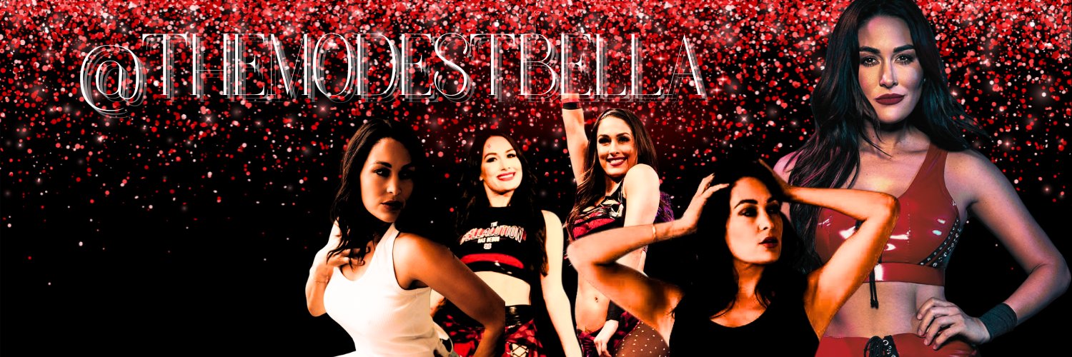 Brie Bella (PARODY) banner