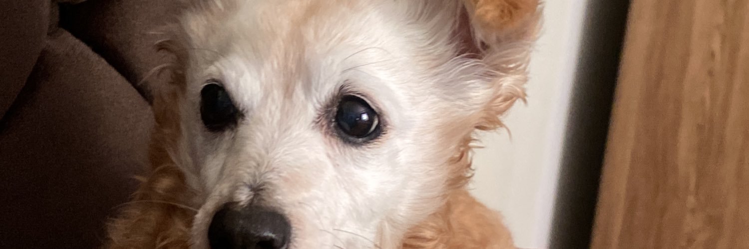rap banner