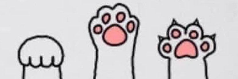 WTI | RAN | MissKitty💜 banner