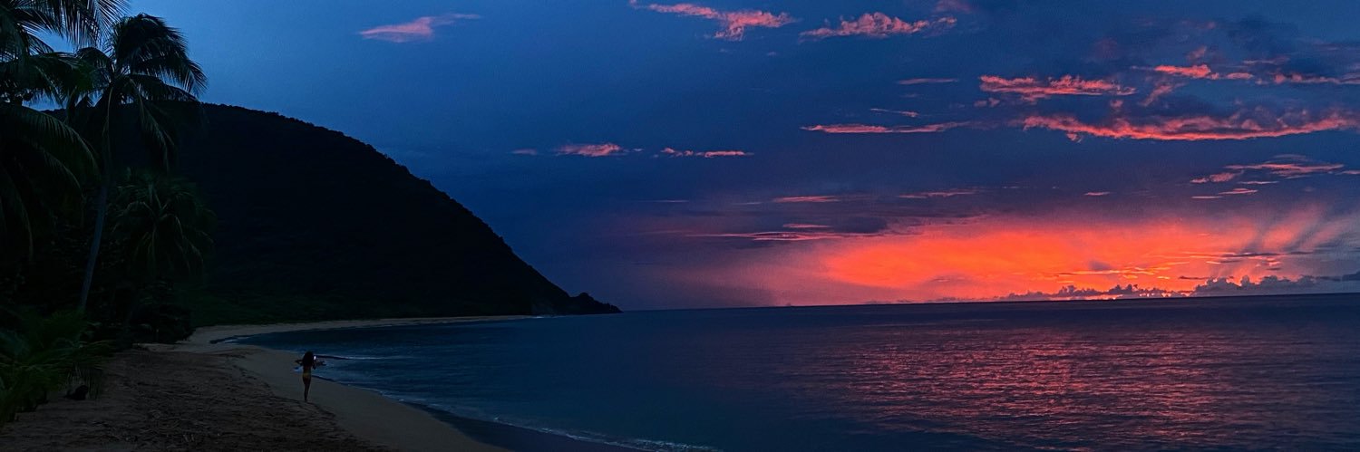 LaulauSmd's profile banner image