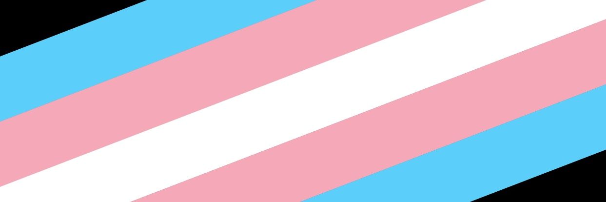 TransMenBooster's profile banner image