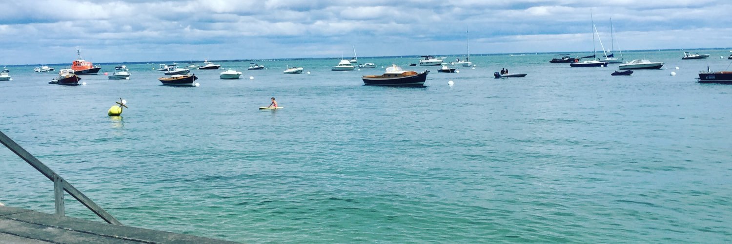 François Pellissier banner