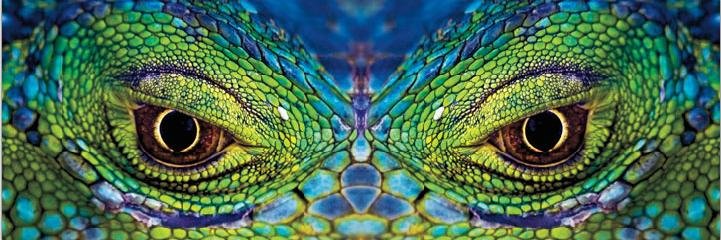aeischeid's profile banner image