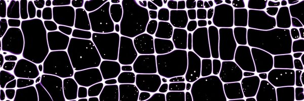 synformic Profile Banner