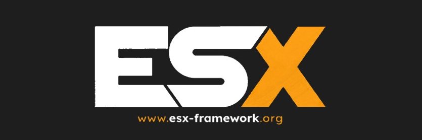 ESX banner