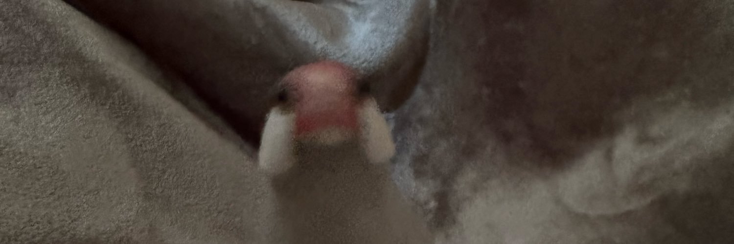 s___t___3's profile banner image