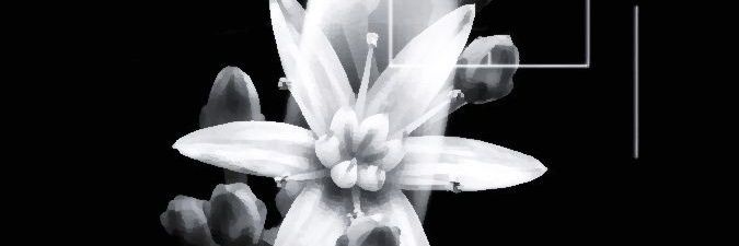 jamdreams's profile banner image