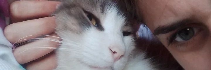 teffff222's profile banner image
