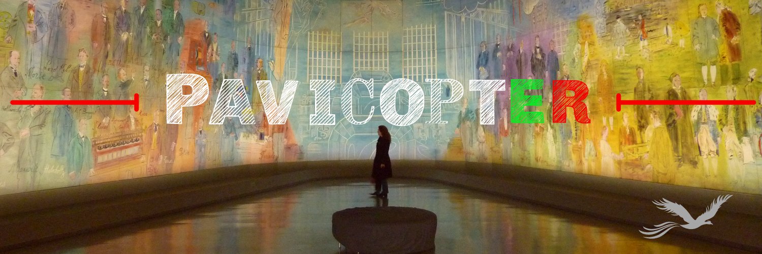 pavicopter_'s profile banner image