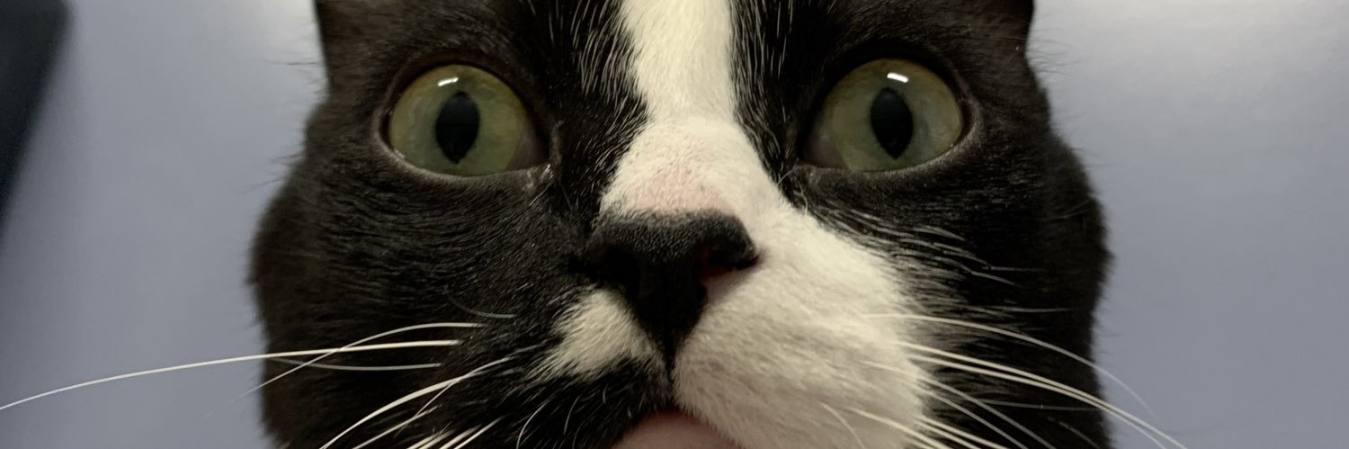 yoinksboinks's profile banner image