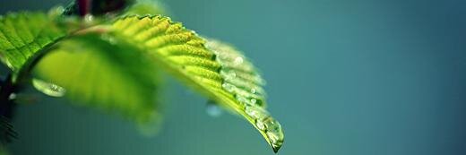 CucumberManLtd's profile banner image