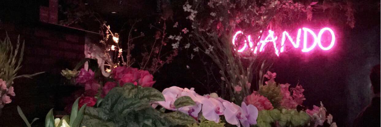 brimelograno's profile banner image