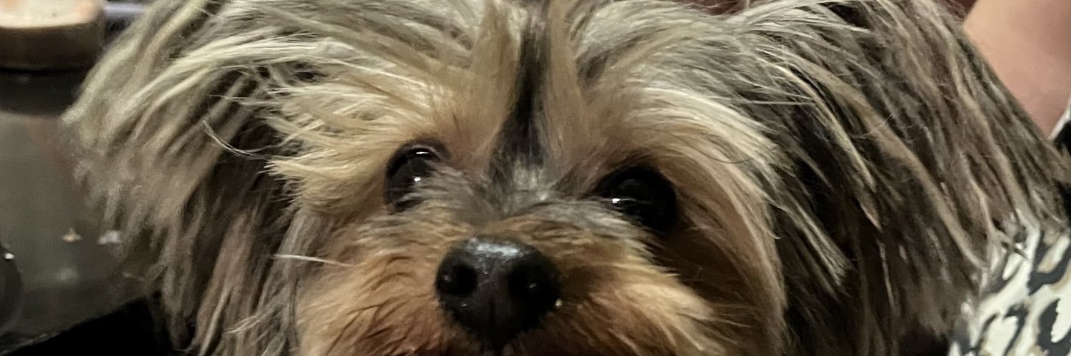 OchoaRodea's profile banner image